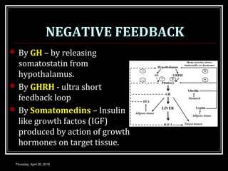 NEGATIVE FEEDBACK
 By GH – by releasing
somatostatin from
hypothalamus.
 By GHRH - ultra short
feedback loop
 By Somatomedins – Insulin
like growth factos (IGF)
produced by action of growth
hormones on target tissue.
Thursday, April 26, 2018
 