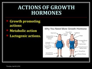 ACTIONS OF GROWTH
HORMONES
 Growth promoting
actions
 Metabolic action
 Lactogenic actions.
Thursday, April 26, 2018
 