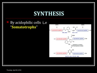 SYNTHESIS
 By acidophilic cells i,.e
“Somatotrophs”
Thursday, April 26, 2018
 