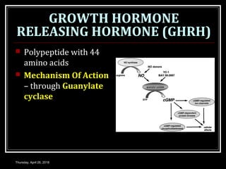 GROWTH HORMONE
RELEASING HORMONE (GHRH)
 Polypeptide with 44
amino acids
 Mechanism Of Action
– through Guanylate
cyclase
Thursday, April 26, 2018
 