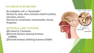 Growth Hormone and its role ppt of , M Pharma 2nd semester | PDF