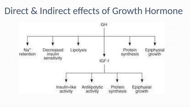 Growth Hormone physiology by Dr nooria ppt | PPT