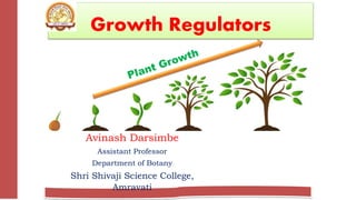 Growth Regulators
Avinash Darsimbe
Assistant Professor
Department of Botany
Shri Shivaji Science College,
Amravati
 