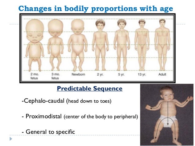 female essential body fat percentage