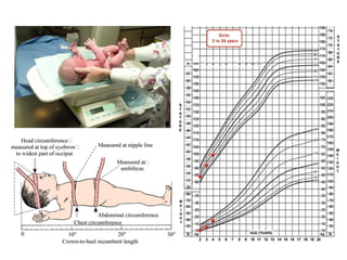 GROWTH_MEASURMENTS 1222333444455668.pptx