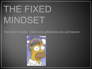 The brain is static. Talent and giftedness are permanent.
THE FIXED
MINDSET
 