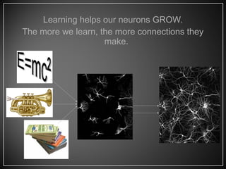 Learning helps our neurons GROW.
The more we learn, the more connections they
make.
 