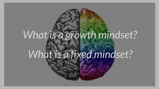 What is a growth mindset?
What is a fixed mindset?
 