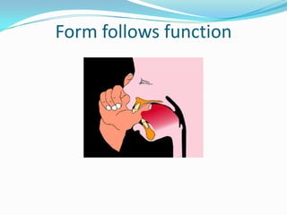 Form follows function
 