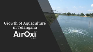 Growth of Aquaculture
in Telangana
 