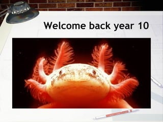 Welcome back year 10

 