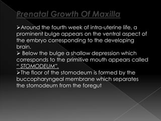  Byaround the 4th week of intra-uterine life, five
branchial arches form in the region of the future head
& neck.
 Each ...