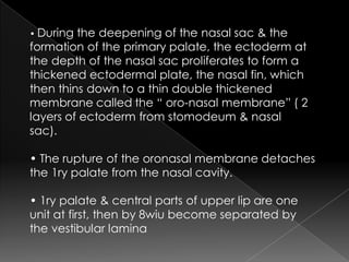 3. Cleft   both primary & secondary palate

• Complete palatal clefts.
 Results from :-
        failure of growth
        ...