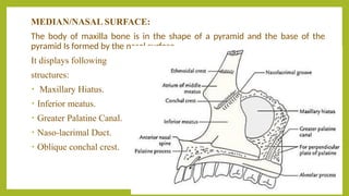 Comprehensive Study on Growth and Development of Maxilla in ...