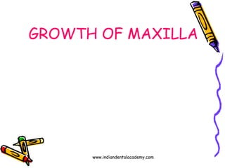 GROWTH OF MAXILLA

www.indiandentalacademy.com

 