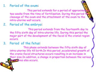1. Period of the ovum:
This period extends for a period of approximately
two weeks from the time of fertilization. During this period the
cleavage of the ovum and the attachment of the ovum to the
intra-uterine wall occurs.
2. Period of the embryo:
This period extends from the fourteenth day to
the fifty sixth day of intra-uterine life. During this period the
major part of the development of the facial & the cranial region
occurs.
3. Period of the fetus:
This phase extends between the fifty sixth day of
intra-uterine life till birth.In this period ,accelerated growth of
the cranio-facial structures occurs resulting in an increase in
their size.In addition, a change in proportion between the various
structures also occurs.
 