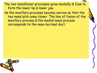 The two mandibular processes grow medially & fuse to
form the lower lip & lower jaw.
As the maxillary processe become narrow so that the
two nasal pits come closer. The line of fusion of the
maxillary process & the medial nasal process
corresponds to the naso-lacrimal duct.
 