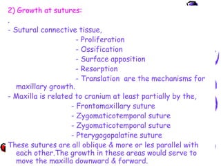 2) Growth at sutures:
.
- Sutural connective tissue,
- Proliferation
- Ossification
- Surface apposition
- Resorption
- Translation are the mechanisms for
maxillary growth.
- Maxilla is related to cranium at least partially by the,
- Frontomaxillary suture
- Zygomaticotemporal suture
- Zygomaticotemporal suture
- Pterygogopalatine suture
These sutures are all oblique & more or les parallel with
each other.The growth in these areas would serve to
move the maxilla downward & forward.
 
