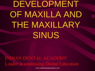DEVELOPMENT
OF MAXILLA AND
THE MAXILLARY
SINUS
INDIAN DENTAL ACADEMY
Leader in continuing Dental Education
www.indiandentalacademy.com
 