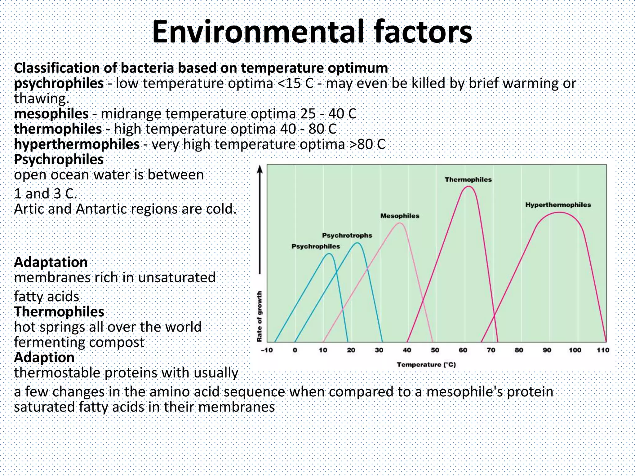 Environmental factors
Classification of bacteria based on temperature optimum
psychrophiles - low temperature optima <15 C - may even be killed by brief warming or
thawing.
mesophiles - midrange temperature optima 25 - 40 C
thermophiles - high temperature optima 40 - 80 C
hyperthermophiles - very high temperature optima >80 C
Psychrophiles
open ocean water is between
1 and 3 C.
Artic and Antartic regions are cold.
Adaptation
membranes rich in unsaturated
fatty acids
Thermophiles
hot springs all over the world
fermenting compost
Adaption
thermostable proteins with usually
a few changes in the amino acid sequence when compared to a mesophile's protein
saturated fatty acids in their membranes
 