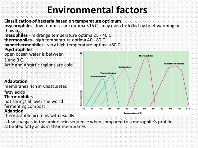Growth of microbes in batch culture