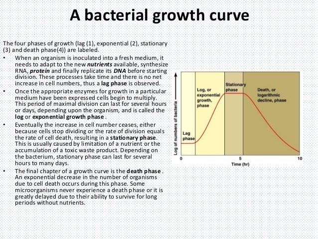by log2 log 7 divided microbes of batch Growth in culture