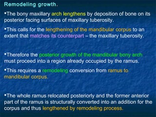 Axillary Growth Growth of Nasomaxillary Complex and Mandible | PPT