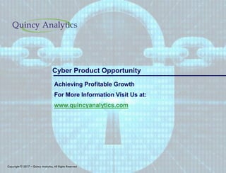 Copyright © 2017 – Quincy Analytics, All Rights Reserved
Achieving Profitable Growth
For More Information Visit Us at:
www.quincyanalytics.com
Cyber Product Opportunity
 
