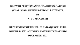 GROWTH PERFORMANCE OF AFRICAN CATFISH
(CLARIAS GARIEPINUS) FED MILLET WASTE
BY
ATUU MANASSEH
DEPARTMENT OF FISHERIES AND AQUACULTURE
JOSEPH SARWUAN TARKA UNIVERSITY MAKURDI
DECEMBER, 2022
 