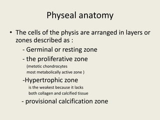 Physeal anatomy
• The cells of the physis are arranged in layers or
zones described as :
- Germinal or resting zone
- the proliferative zone
(metotic chondrocytes
most metabolically active zone )
-Hypertrophic zone
is the weakest because it lacks
both collagen and calcified tissue
- provisional calcification zone
 