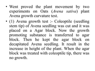 • Went proved the plant movement by two
experiments on Oats (Avena sativa) plant
Avena growth curvature test.
• (1) Avena growth test :- Coleoptile (seedling
stem tip) of Avena seedling was cut and it was
placed on a Agar block. Now the growth
promoting substance is transferred to agar
block. Then he kept the agar block on
decapitated Avena seedling. It result in the
increase in height of the plant. When the agar
block was treated with coleoptile tip, there was
no growth.
 