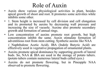 Role of Auxin
• Auxin show various physiological activities in plant, besides
apical growth of shoot and root. It promotes some activities while
inhibits some other.
• 1. Stem height is increased by cell division and cell elongation
and its promoted by auxins by decreasing wall pressure and
increasing the size of vacuole. Auxine also promote secondary
growth and formation of annual rings.
• Low concentration of auxins promote root growth, but high
concentration inhibit the same. Auxin stimulate formation of
adventitious root from stem cutting. Synthetic auxins like NAA
( Naphthalene Acetic Acid), IBA (Indole Butyric Acid) are
effectively used in vegetative propagation of ornamental plants.
• Auxins promote apical dominance by supporting growth of lateral
buds. So, NAA & IBA are used in the storage of potato tubers.
(potato tubers contain numerous lateral buds called eyes.)
• Auxins do not promote flowering, but in Pineapple NAA
observed to promote flowering.
 