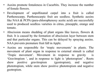 • Auxins promote femaleness in Cucurbits. They increase the number
of female flowers.
• Development of unpollinated carpel into a fruit is called
Parthenocarpy. Parthenocarpic fruit are seedless. Synthetic auxins
like NAA & PCPA (para-chlorophenoxy acetic acid) are successfully
used to produced seedless varieties in citrus, pineapple, orange and
tomato.
• Abscission means shedding of plant organs like leaves, flowers &
fruit. It is caused by the formation of abscission layer between stem
and that particular organs. This can be delayed by spraying auxins.
NAA prevents premature fruit fall in Apple.
• Auxins are responsible for ‘tropic movements’ in plants. The
movement of plant organ in response to external stimuli is called
‘Tropic movement’. Movement in response to gravity is
‘Gravitropism ‘, and in response to light is ‘photoropism’ . Roots
show positive gravitropism (geotropism), and negative
phototropism, while stem show positive phototropism and negative
geotropism.
 