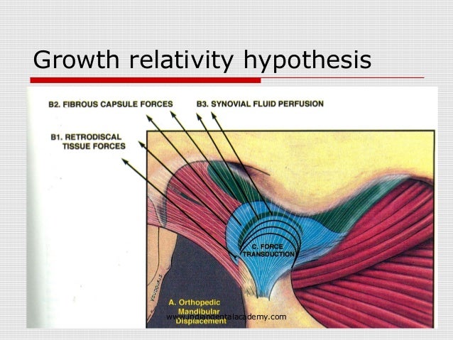 growth relativity hypothesis