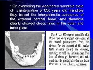 • On examining the weathered mandible state
of disintegration of 850 years old mandible
they traced the interprismatic substance of
the external cortical bone. And therefore
clearly showed stress lines in the outer and
inner plate.
www.indiandentalacademy.com
 
