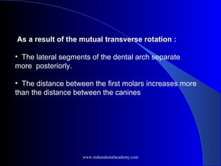 As a result of the mutual transverse rotation :
• The lateral segments of the dental arch separate
more posteriorly.
• The distance between the first molars increases more
than the distance between the canines
www.indiandentalacademy.com
 