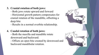 Growth rotations | PPTX