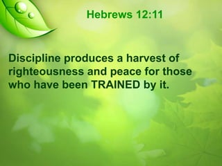 Hebrews 12:11

Discipline produces a harvest of
righteousness and peace for those
who have been TRAINED by it.

 