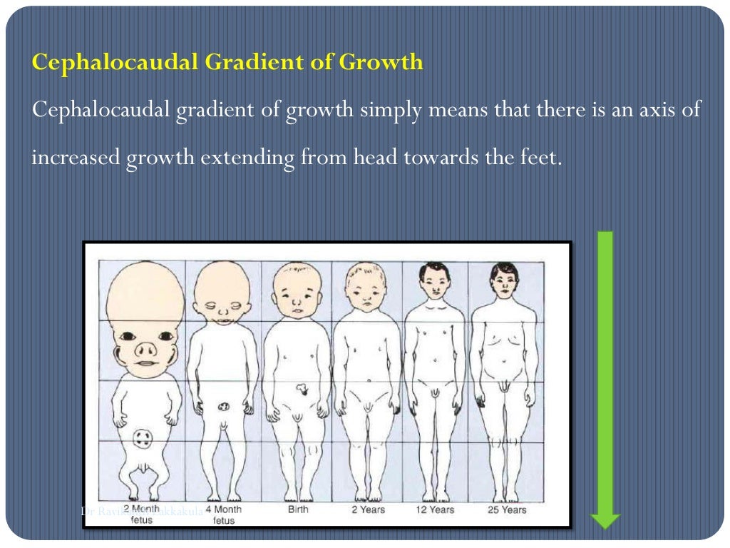 Growth spurts orthodontics