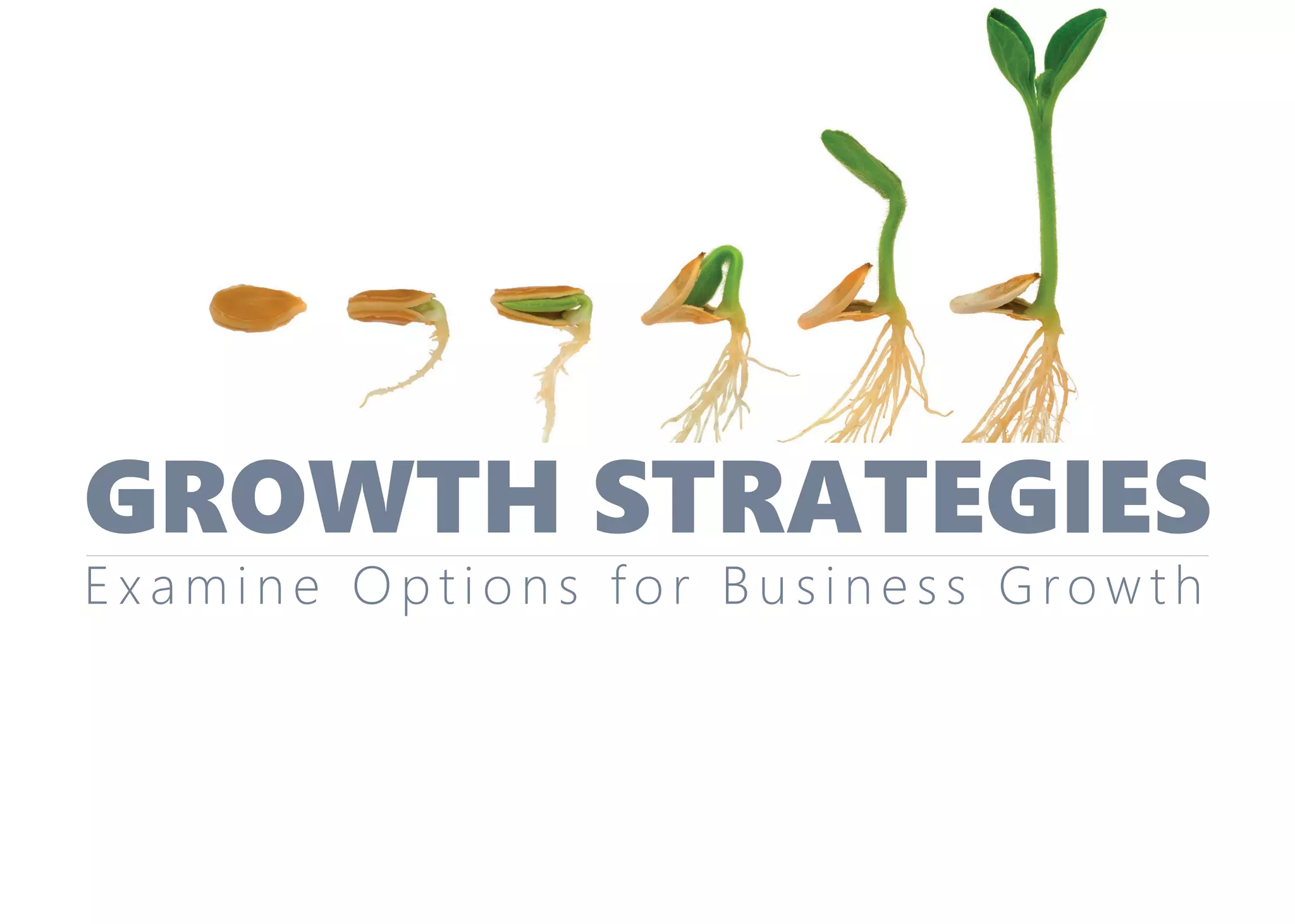 GROWTH STRATEGIES
E x a m i n e O p t i o n s f o r B u s i n e s s G ro w t h
 