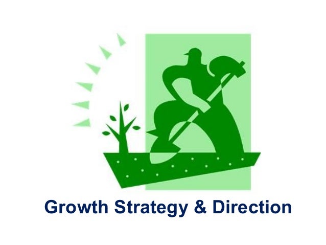 growth strategy