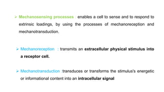 Growth theories,emphasis on functional matrix theory-regular and ...