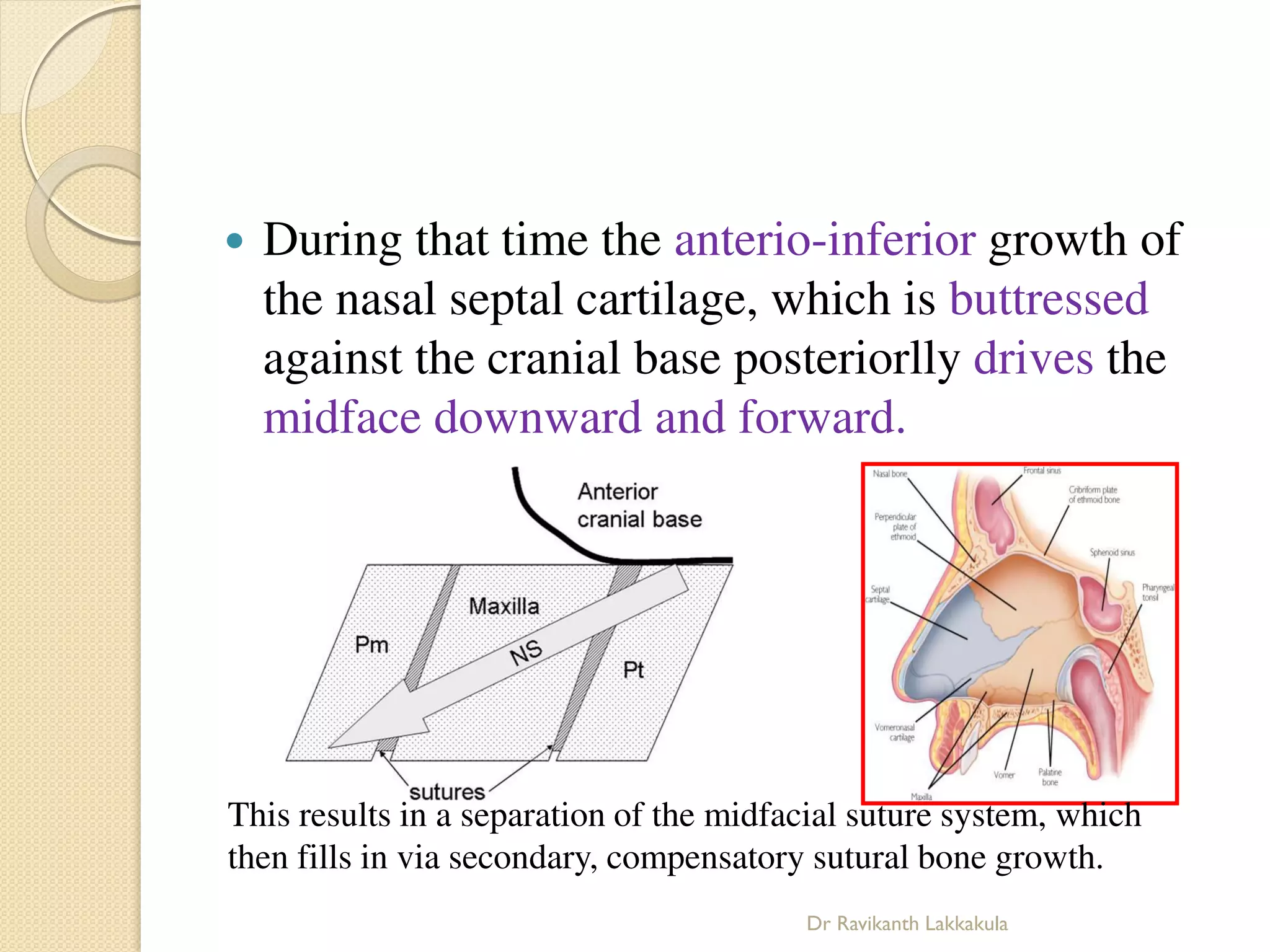 Recent advances in Growth theories - orthodontics | PDF