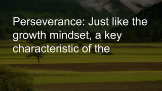 Perseverance: Just like the
growth mindset, a key
characteristic of the
 