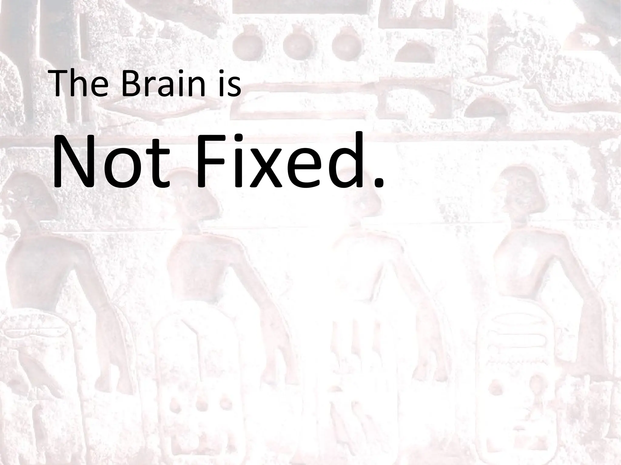 The Brain is Not Fixed. 