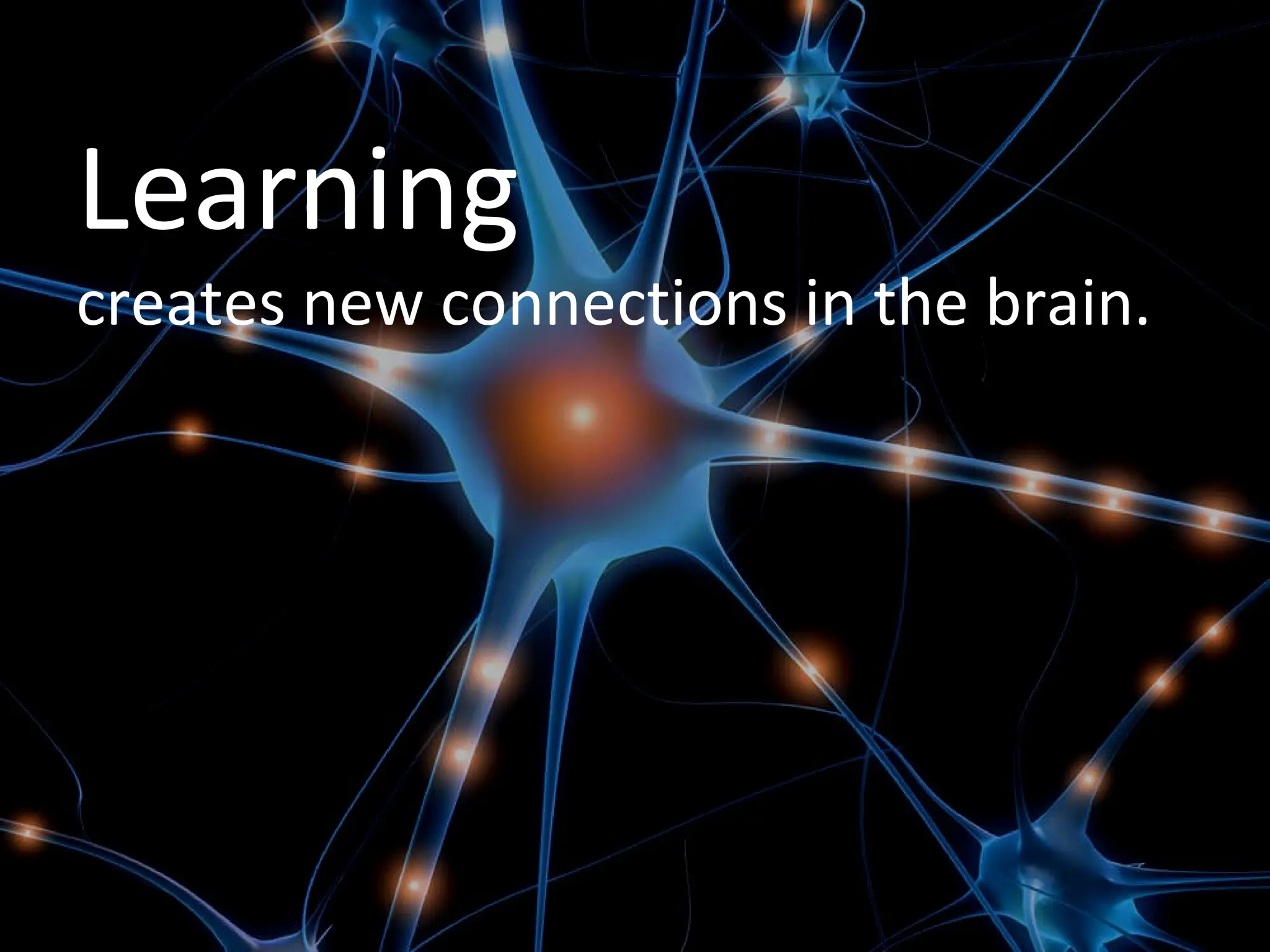 Learning creates new connections in the brain. 
