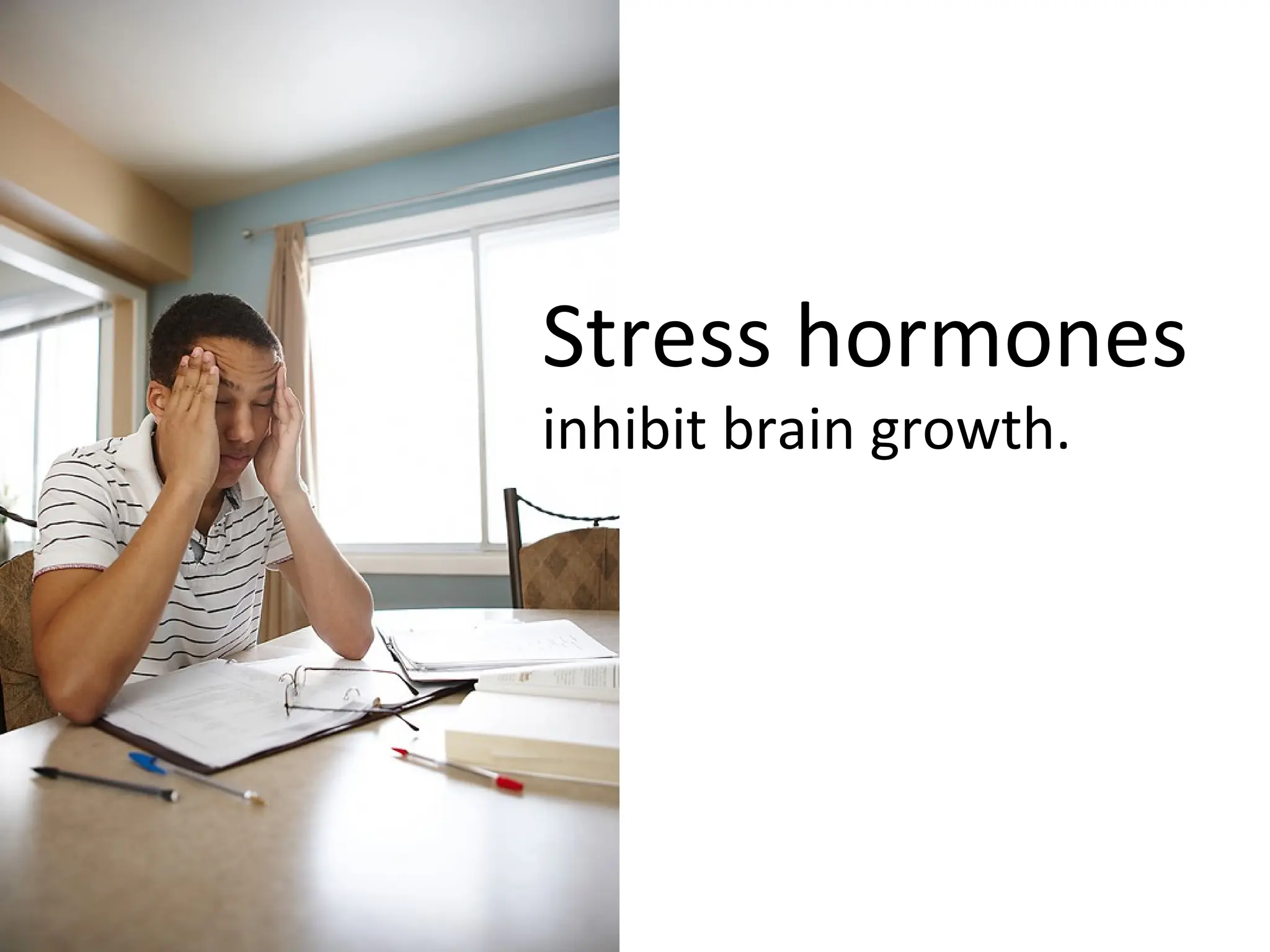 Stress hormones inhibit brain growth. 