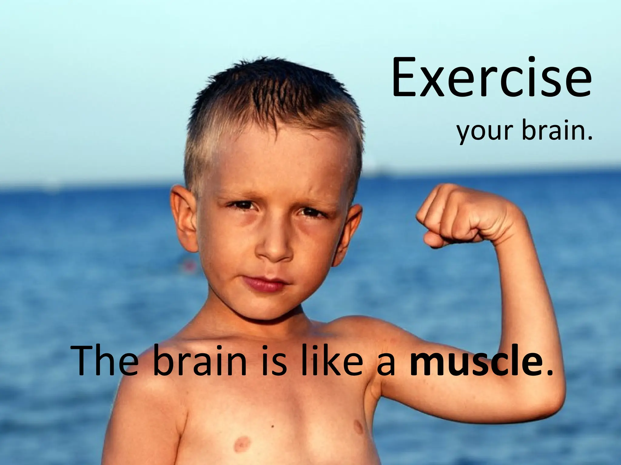 Exercise your brain. The brain is like a  muscle . 