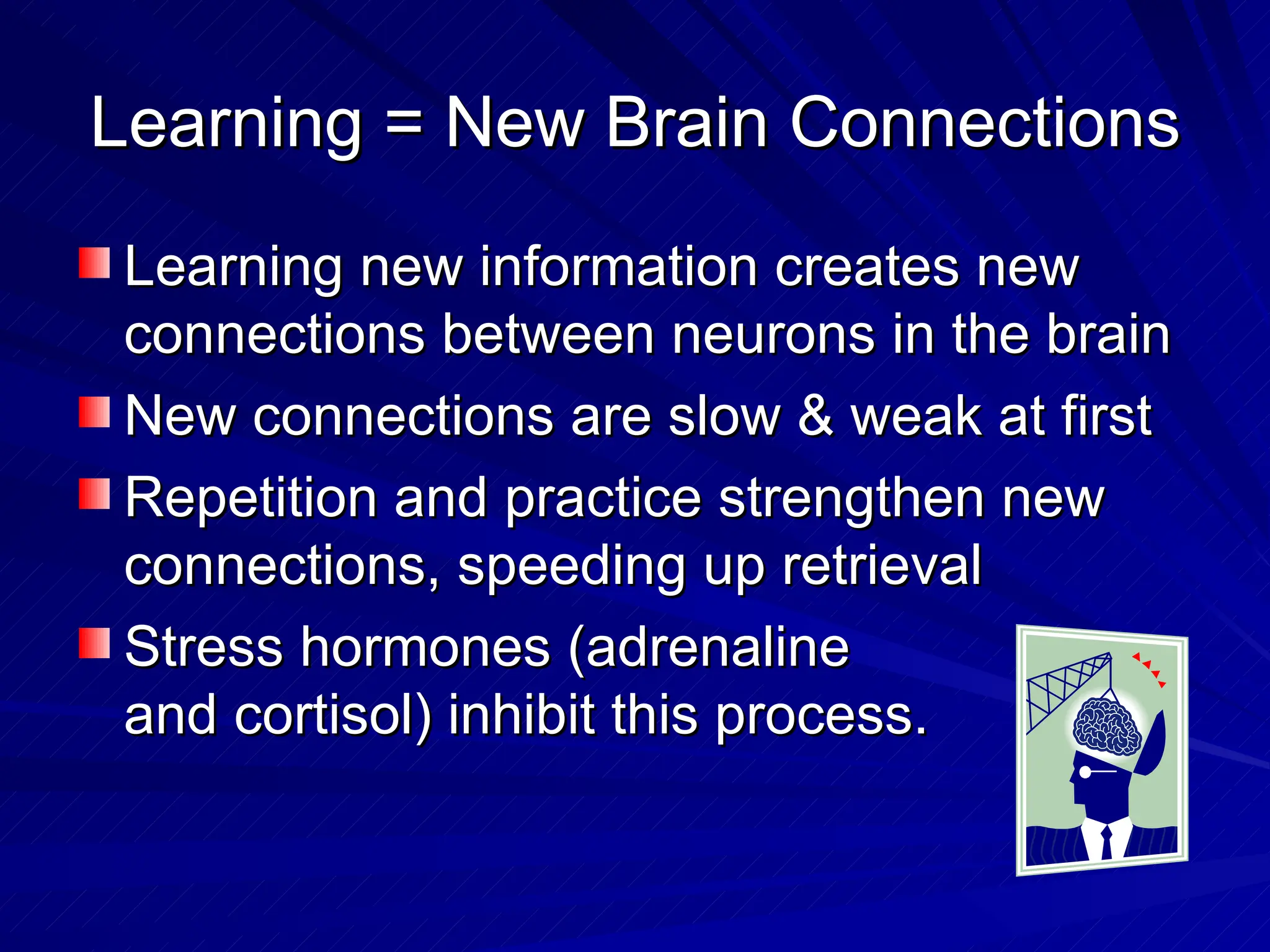 Learning = New Brain Connections Learning new information creates new connections between neurons in the brain New connections are slow & weak at first Repetition and practice strengthen new connections, speeding up retrieval Stress hormones (adrenaline and cortisol) inhibit this process. 