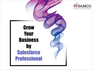 Grow
Your
Business
by
Salesforce
Professional
 